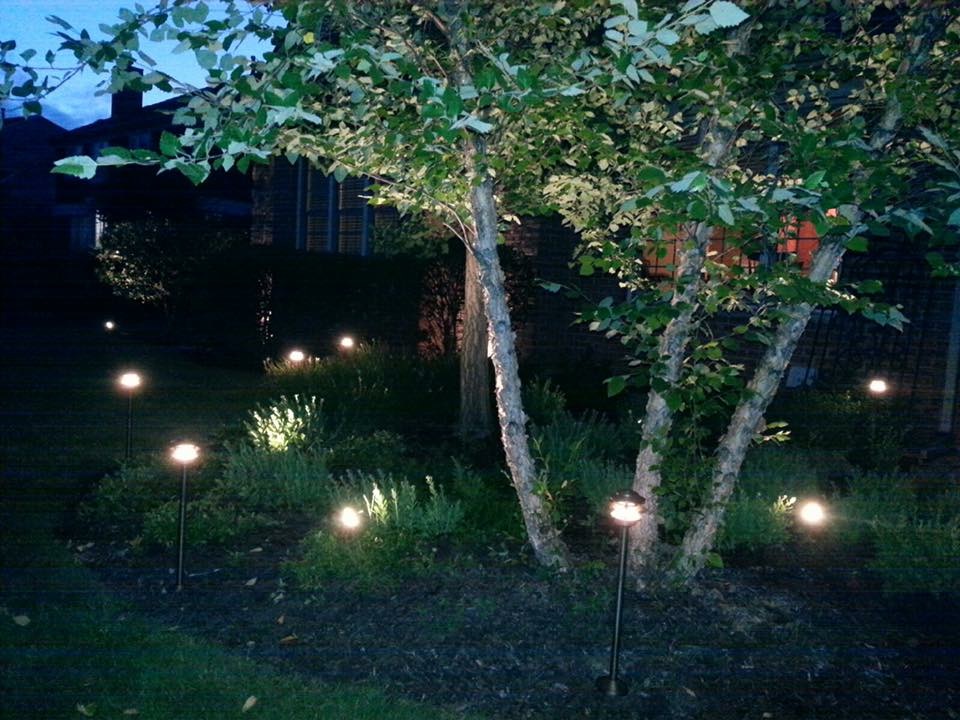 Landscape Lighting Example