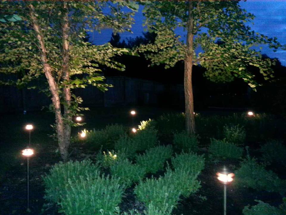 Landscape Lighting Example 2